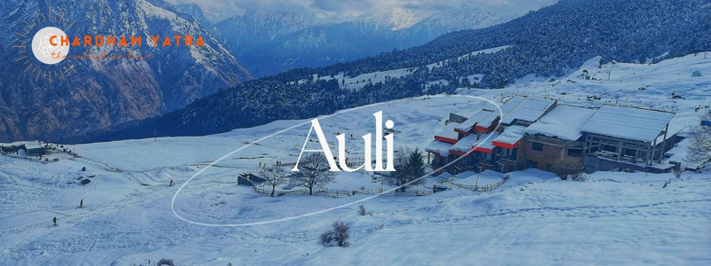 Auli