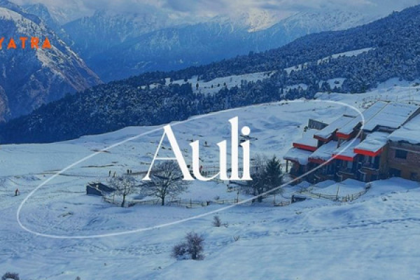 Auli