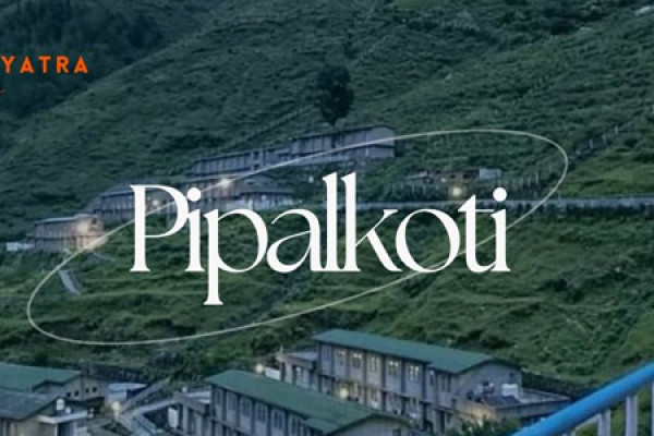 Pipalkoti